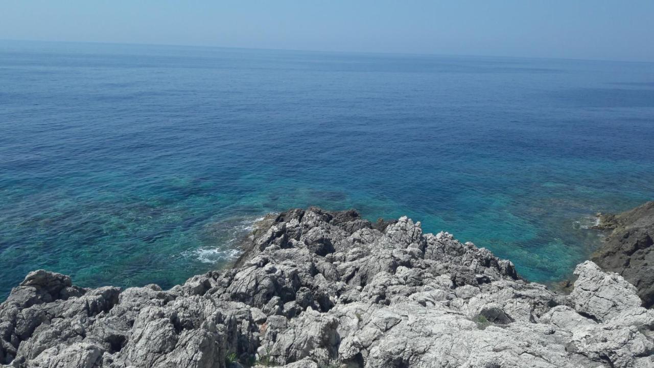 Apartments Rotim, Mljet, Sutmiholjska Babino Polje Екстериор снимка